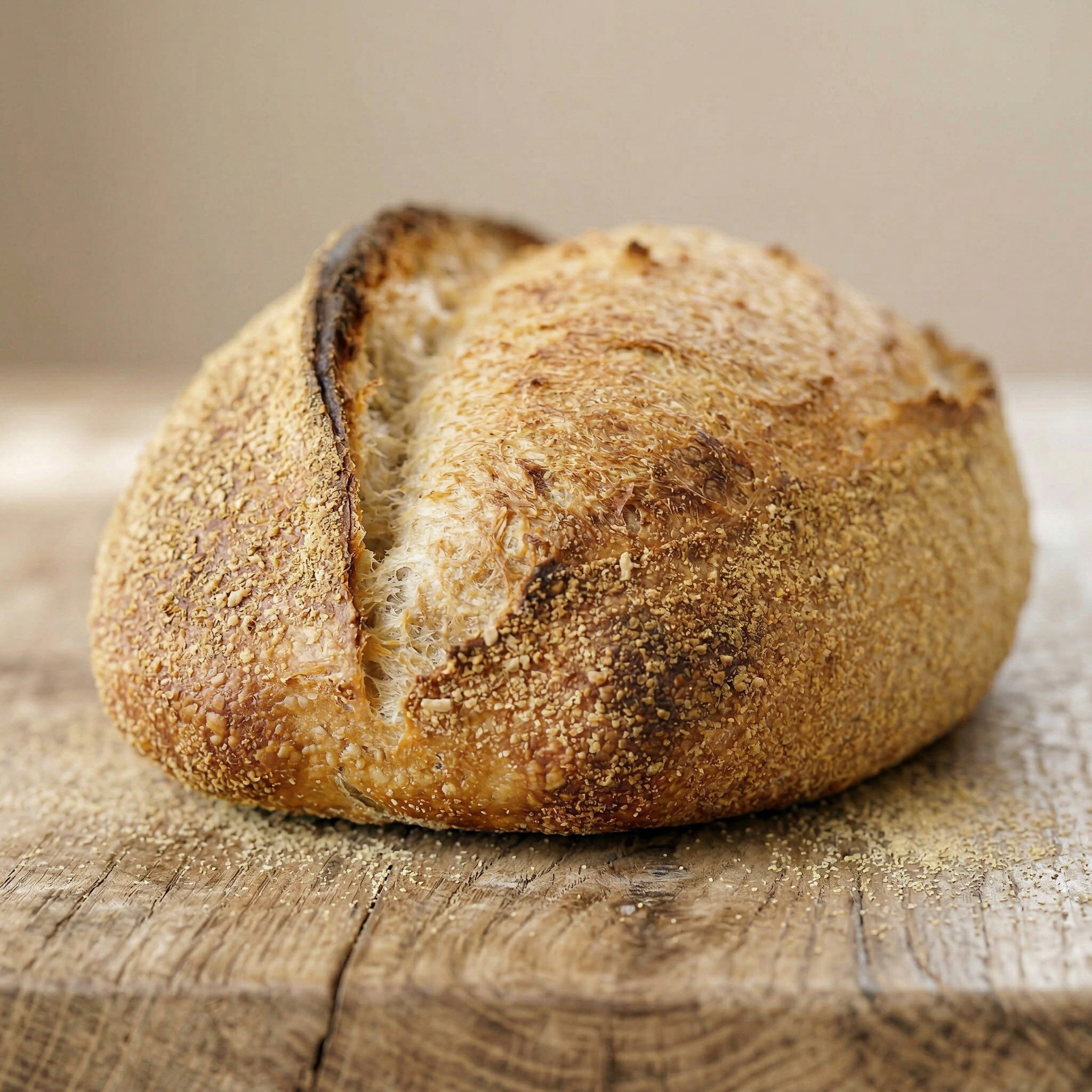 Sourdough Loaf