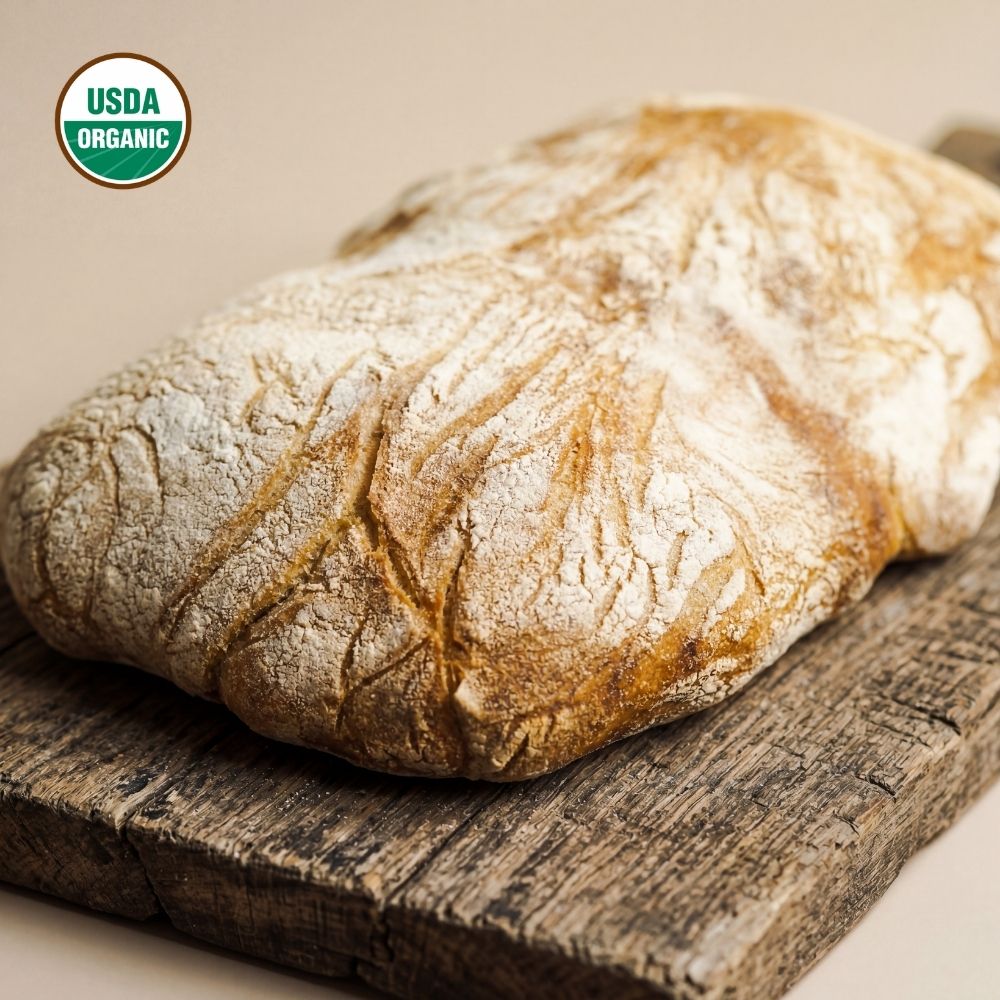 Ciabatta Bread