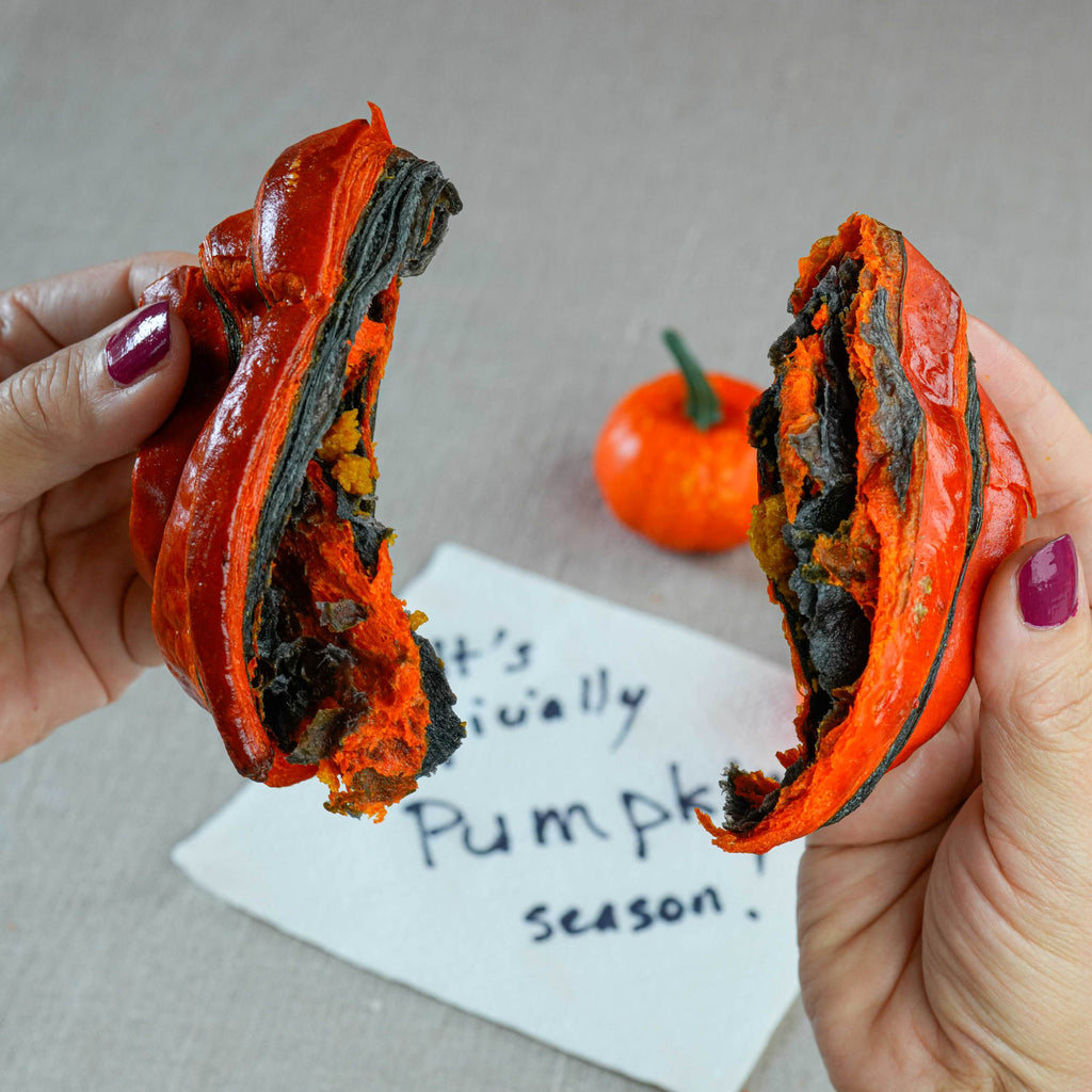 Pumpkin Croissant – Pack of 2